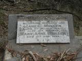 image of grave number 826798